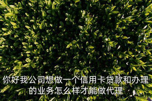 你好我公司想做一个信用卡贷款和办理的业务怎么样才能做代理