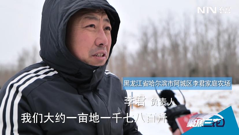 快贷贷款公司