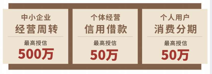 什么是金融贷款公司