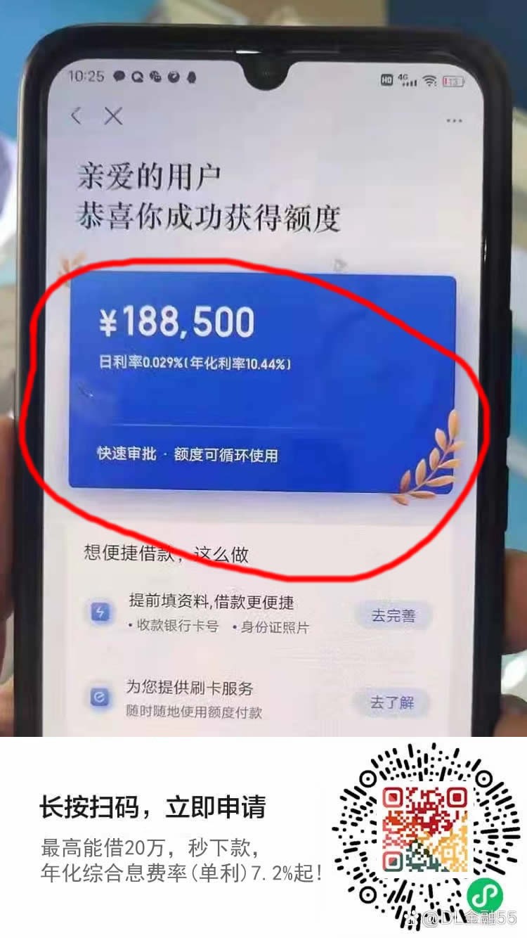 大公司旗下的贷款