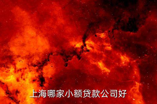 上海哪家小额贷款公司好