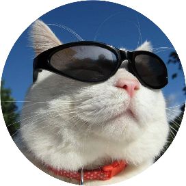 公司向个人贷款利息
