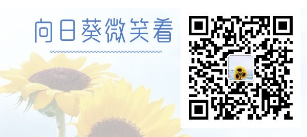 公司还不上贷款怎么办