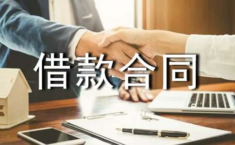 金融借款合同模板（精选5篇）