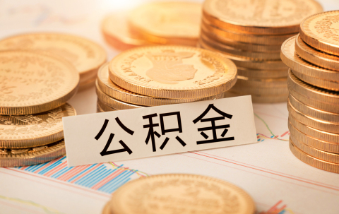 公司法法定公积金