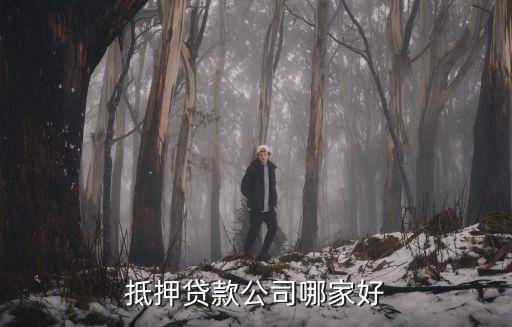 抵押贷款公司哪家好