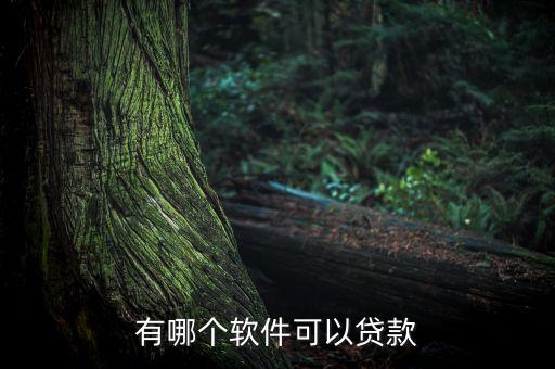 有哪个软件可以贷款