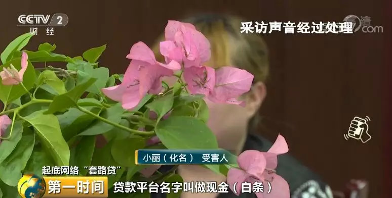 小额公司贷款还钱