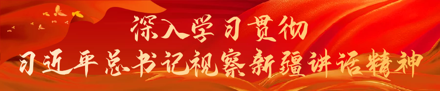 公司还个人银行贷款