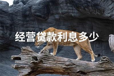 经营贷款利息多少