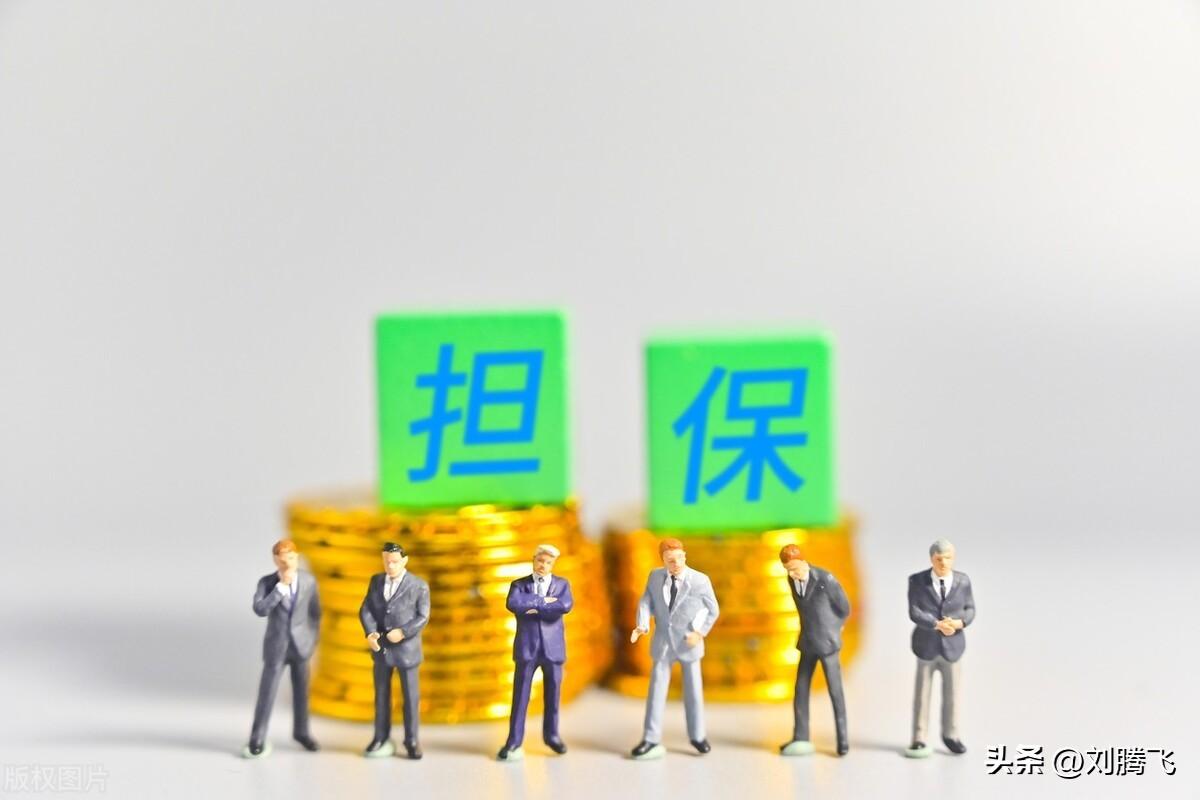 保险公司担保贷款