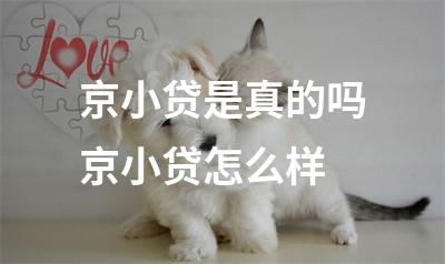 京小贷是真的吗京小贷怎么样