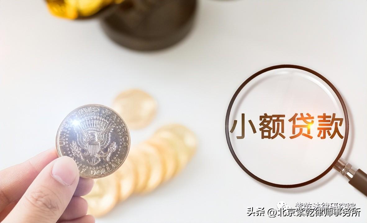 公司向小额贷款公司借款