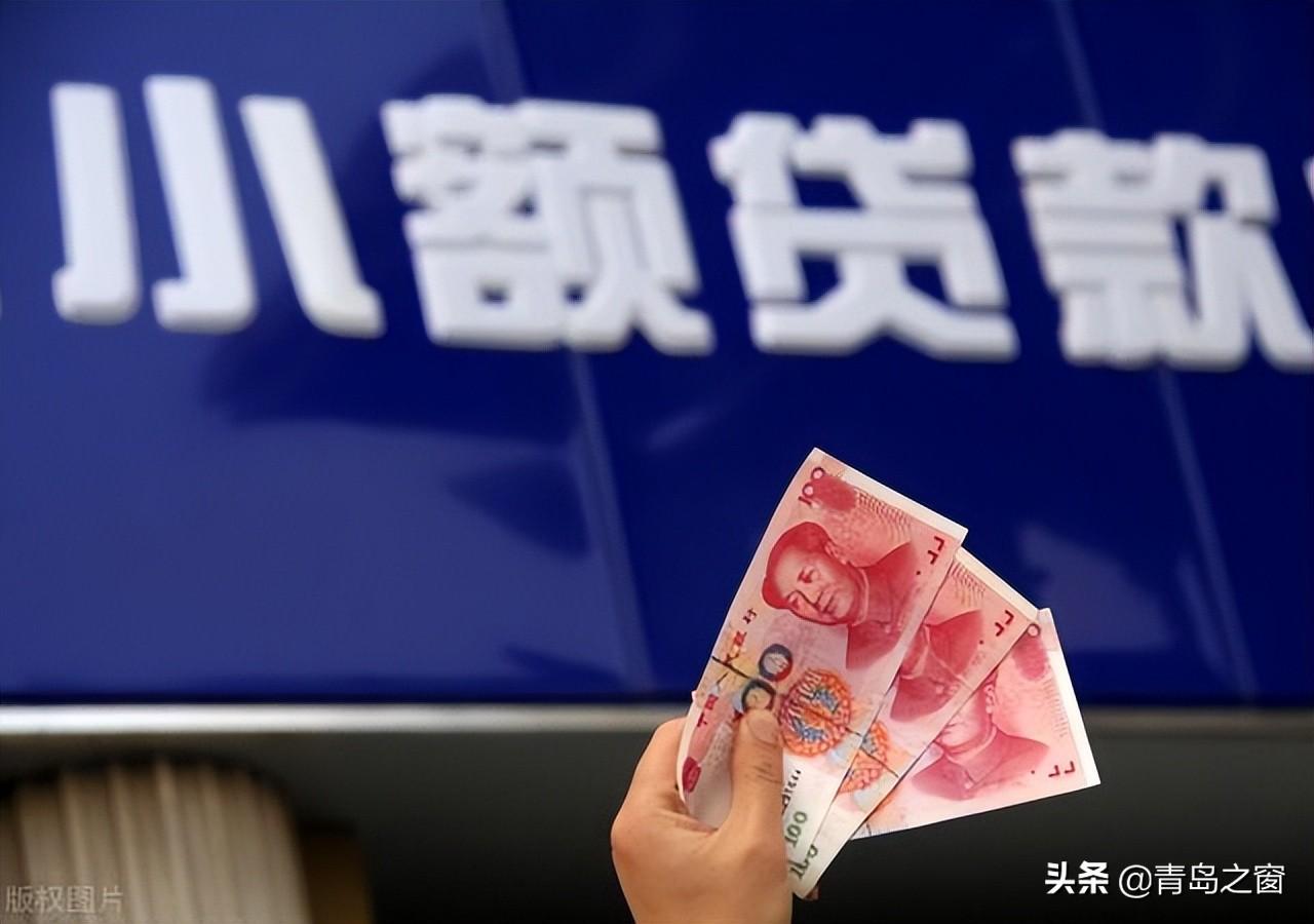 公司向小额贷款公司借款