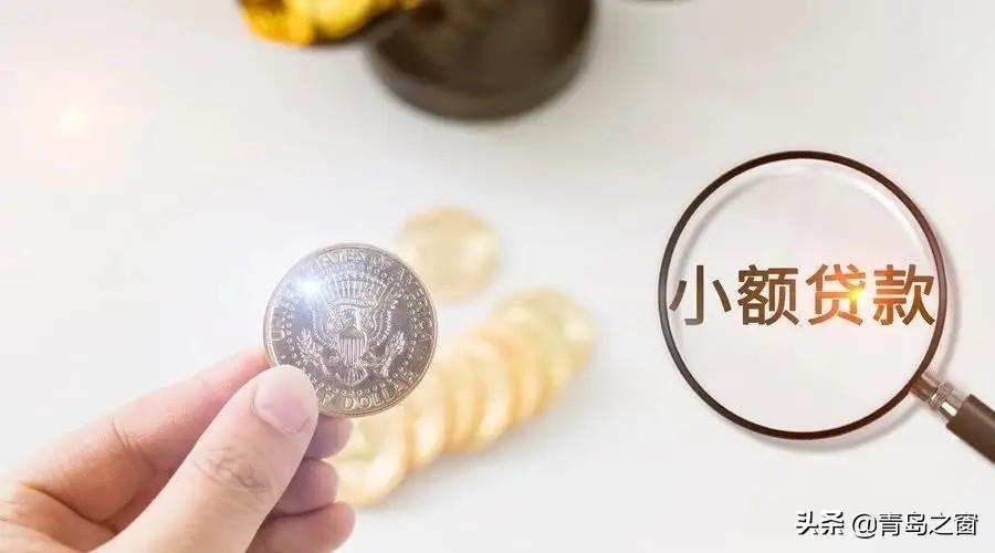 公司向小额贷款公司借款