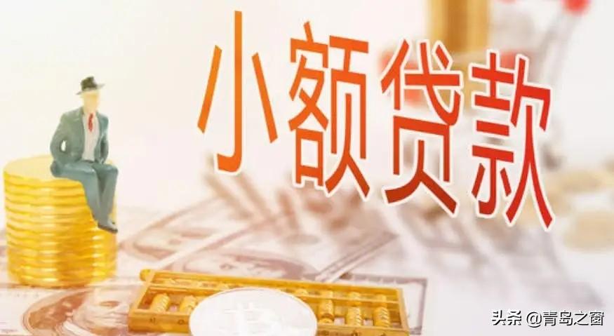 公司向小额贷款公司借款