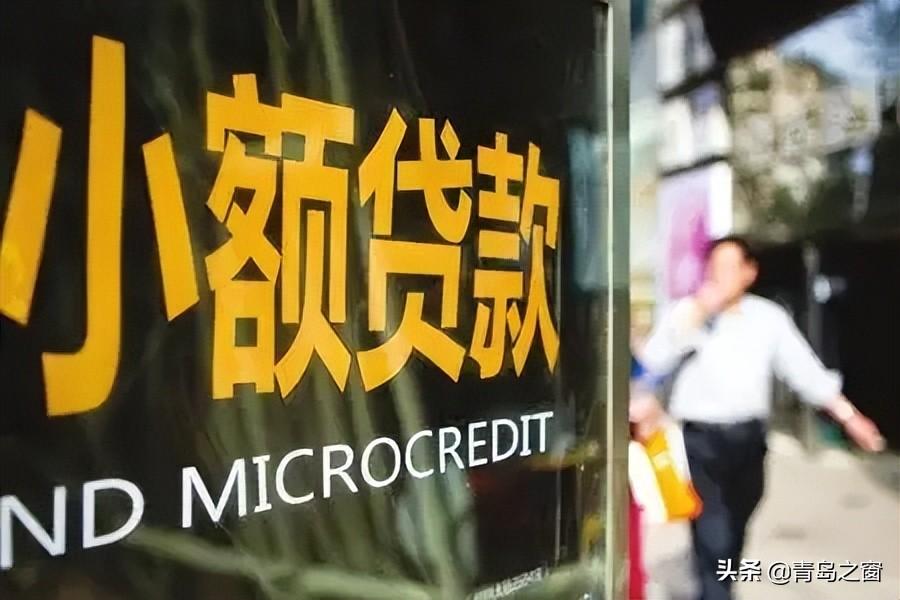 公司向小额贷款公司借款
