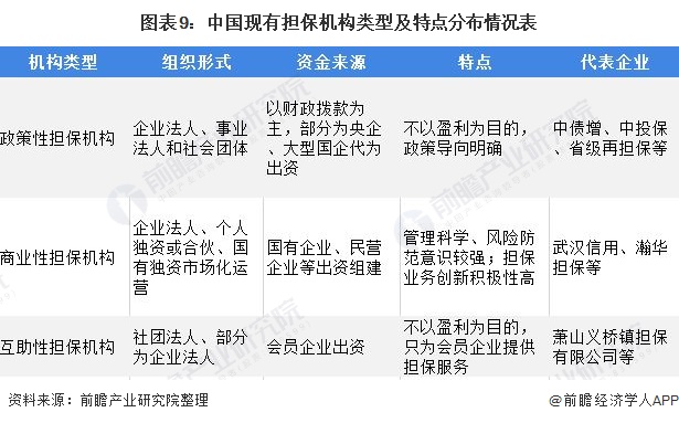 图表9：中国现有担保机构类型及特点分布情况表