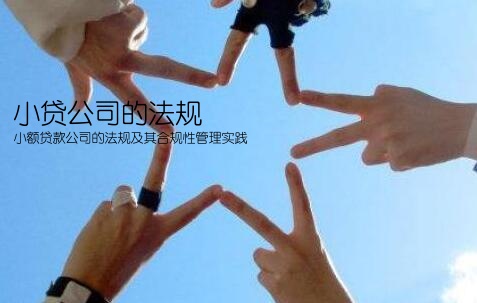 小额贷款贷公司管理办法