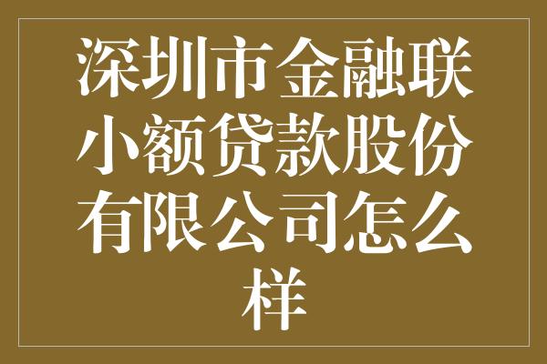 深圳市金融联小额贷款股份有限公司怎么样