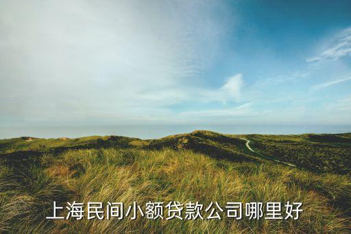 上海民间小额贷款公司哪里好