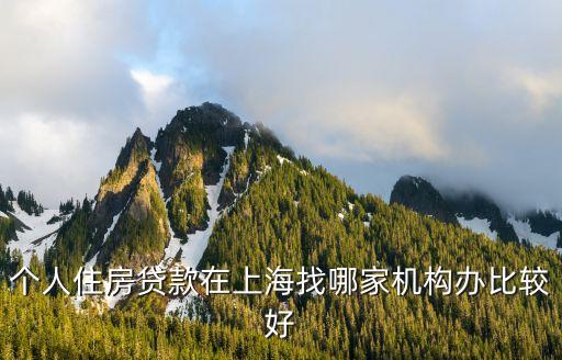 个人住房贷款在上海找哪家机构办比较好