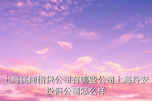 上海民间借贷公司有哪些公司上海玲安投资公司怎么样