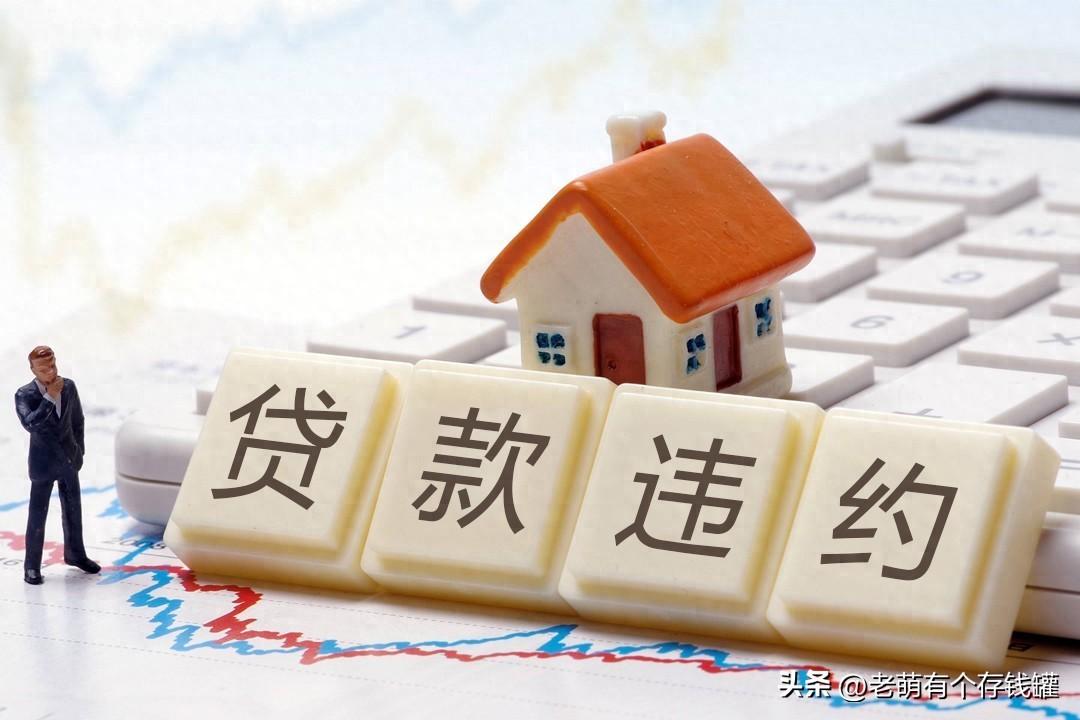 贷款与保险公司
