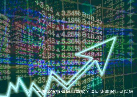 哪些银行有信用贷款？请问哪些银行可以信用贷款？图片2