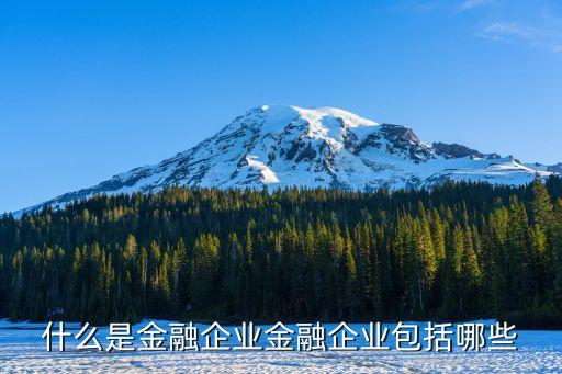 什么是金融企业金融企业包括哪些