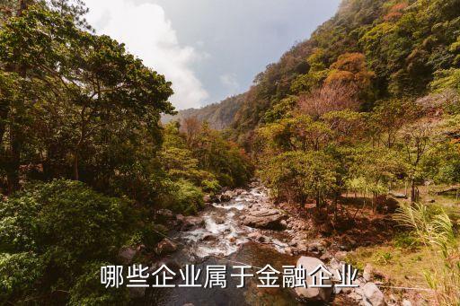 哪些企业属于金融企业
