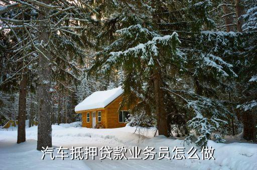 汽车抵押贷款业务员怎么做