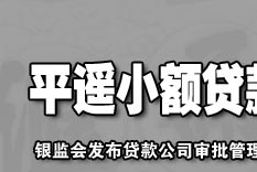 小额贷款公司,贷款公司,农村金融,私人银行