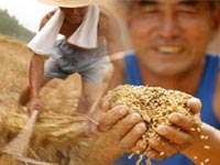 小额贷款公司,贷款公司,农村金融,私人银行