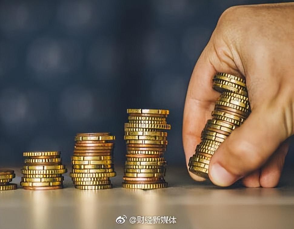 金融公司小额贷款