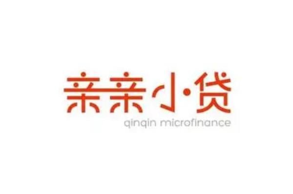 小额贷款公司借钱