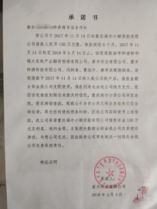 贷款填写的公司