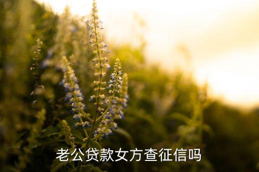 老公贷款女方查征信吗