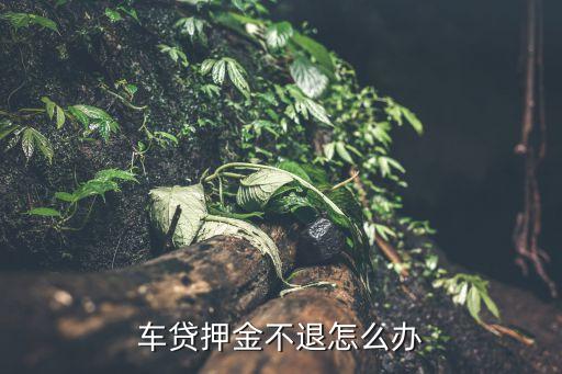 车贷押金不退怎么办