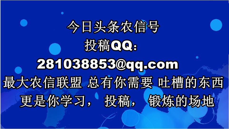我是小额贷款公司员工