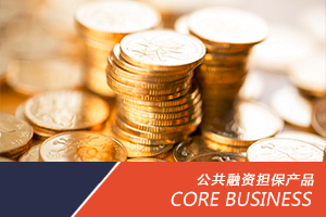 广州信用贷款公司