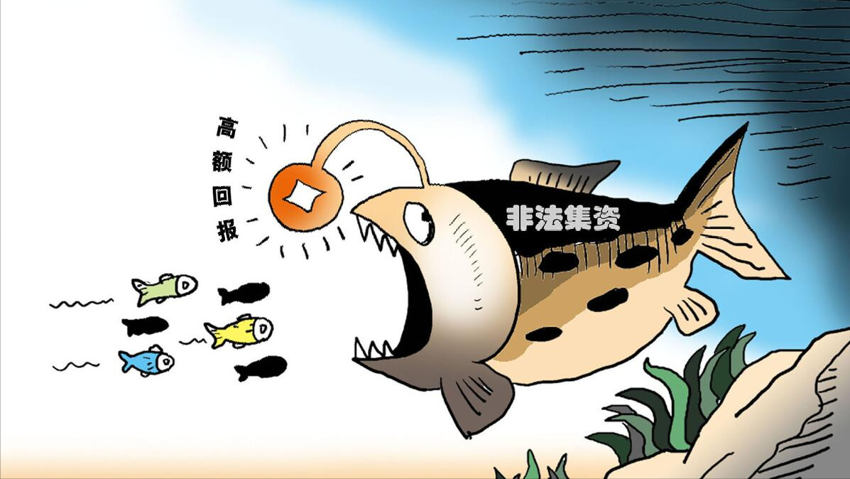 小额贷款公司的特征