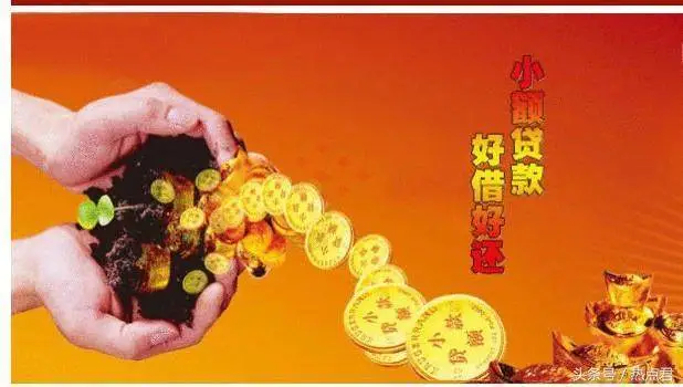 小额贷款公司 内部