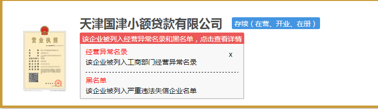 天津的小额贷款公司