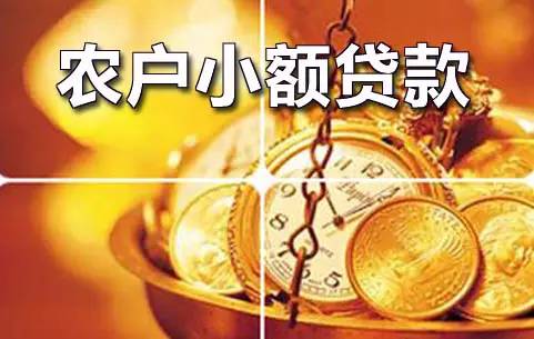 浙江 小额贷款公司