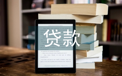 小额贷款企业风险管理与防范