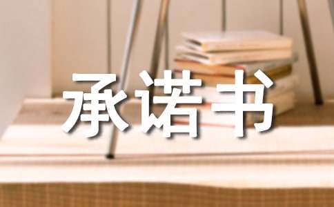 个人担保贷款承诺书