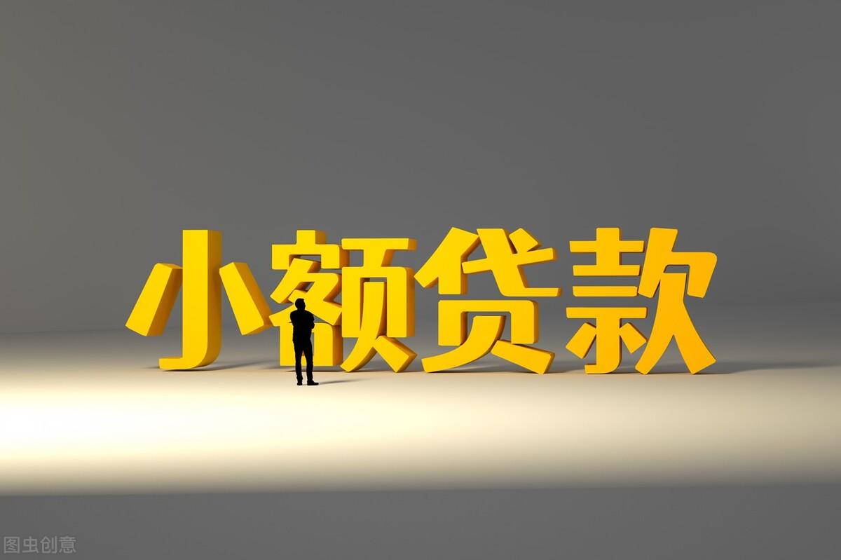 欠小额贷款公司的钱还不上怎么办
