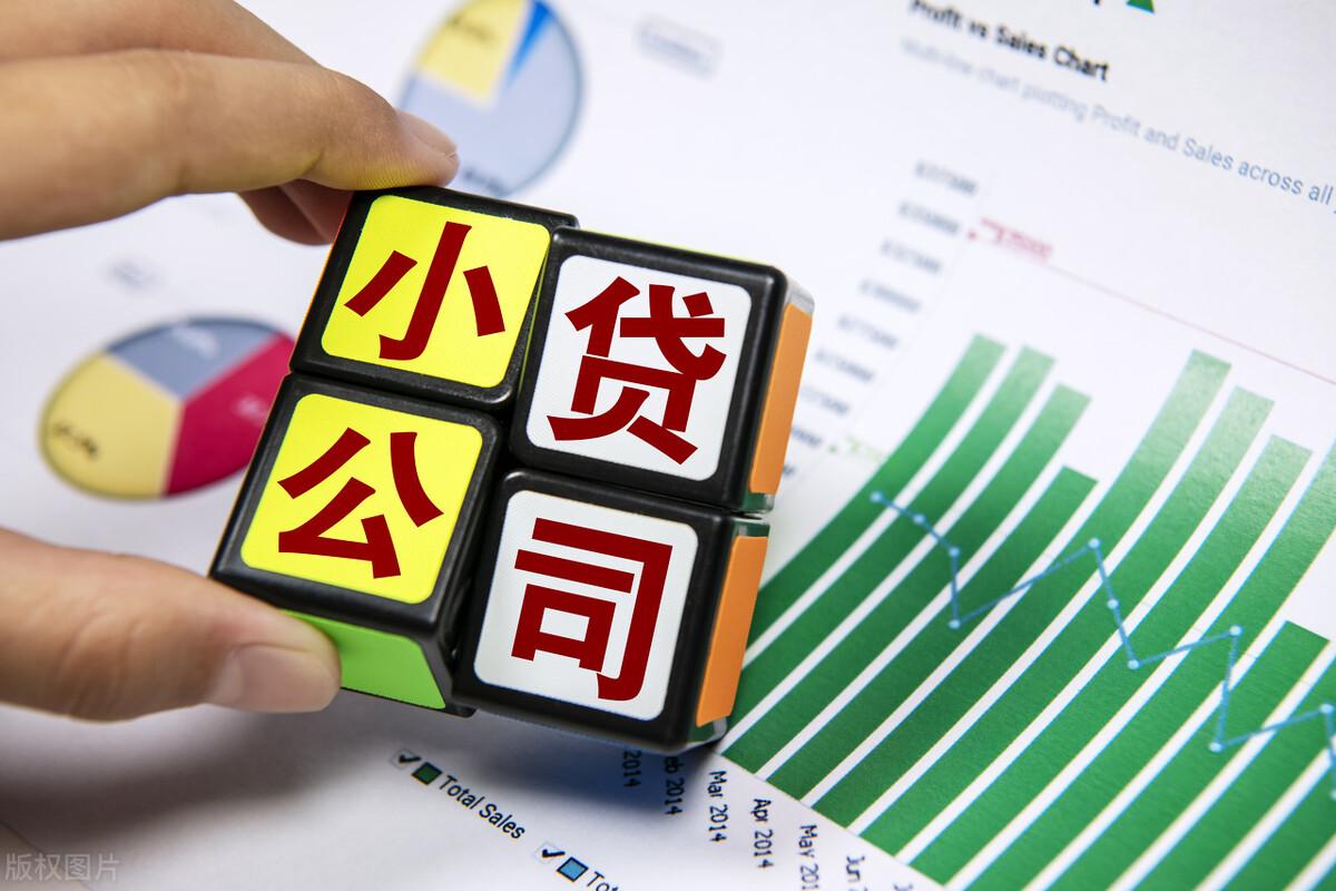 欠小额贷款公司的钱还不上怎么办