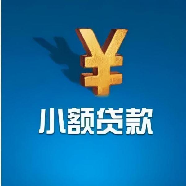 欠小额贷款公司的钱还不上怎么办